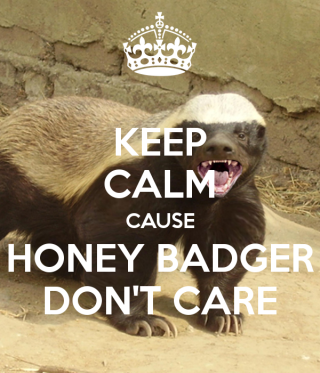 keep-calm-cause-honey-badger-don-t-care-9